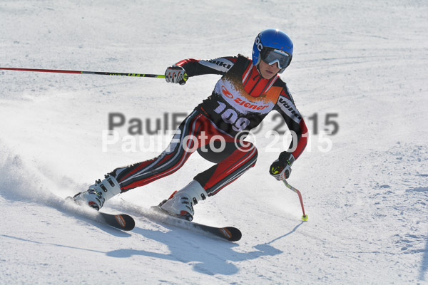 ASV Ziener Cuo V 2015