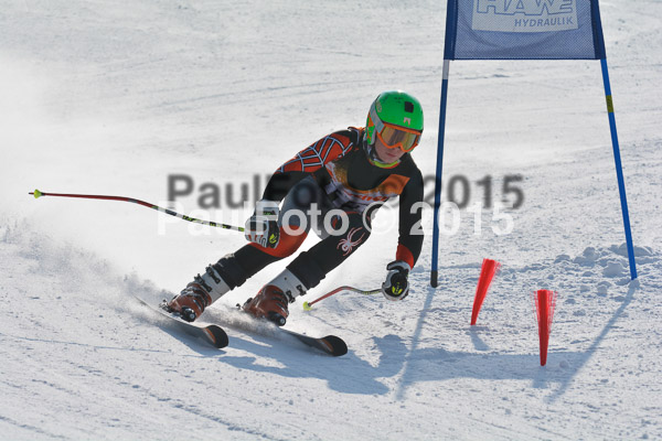 ASV Ziener Cuo V 2015