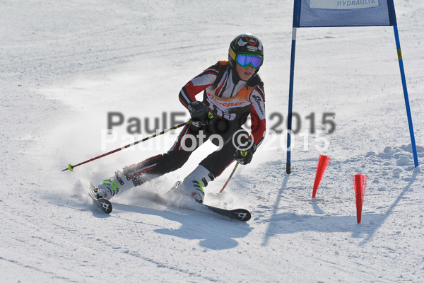 ASV Ziener Cuo V 2015