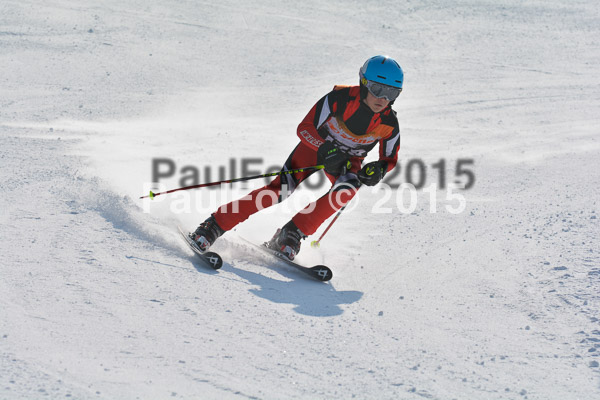 ASV Ziener Cuo V 2015