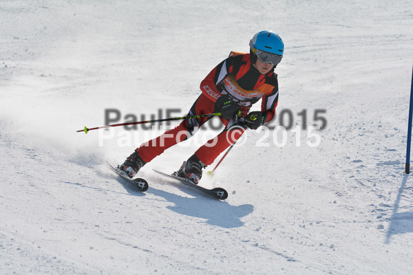 ASV Ziener Cuo V 2015