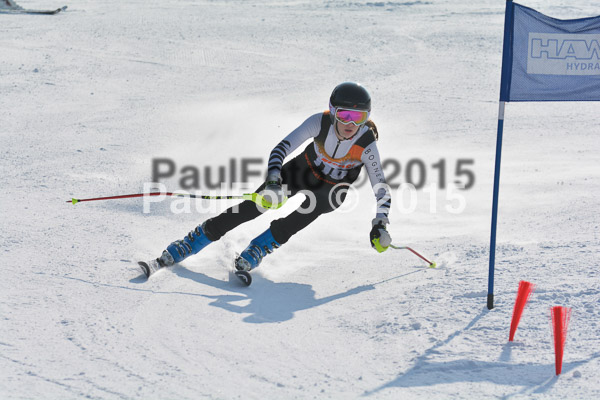 ASV Ziener Cuo V 2015