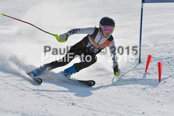 ASV Ziener Cuo V 2015