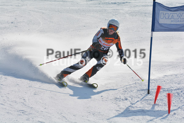 ASV Ziener Cuo V 2015