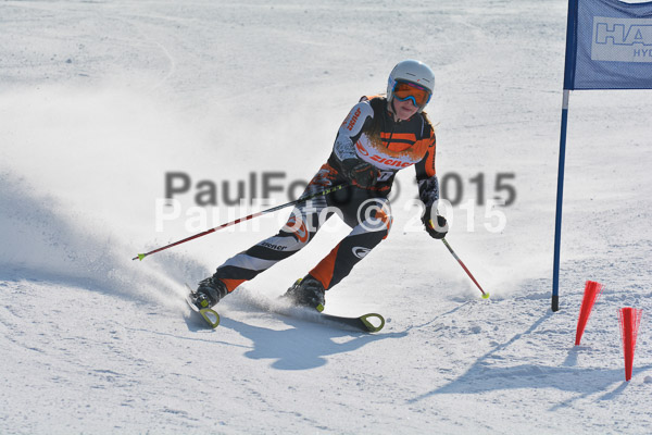 ASV Ziener Cuo V 2015