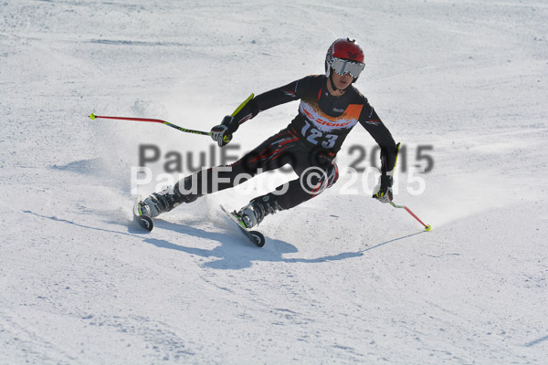 ASV Ziener Cuo V 2015