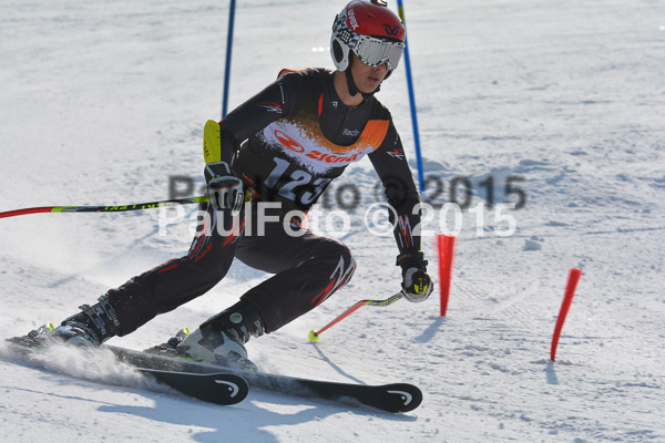 ASV Ziener Cuo V 2015