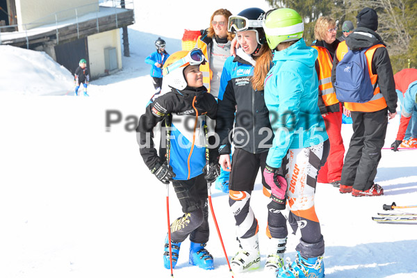 ASV Ziener Cuo V 2015