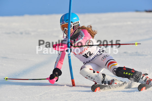 FIS NJR Slalom Herren 2015