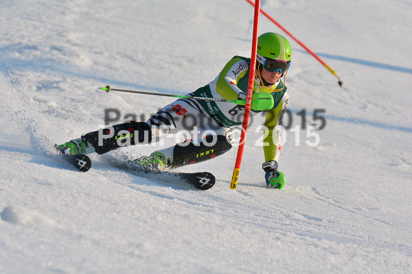 FIS NJR Slalom Herren 2015