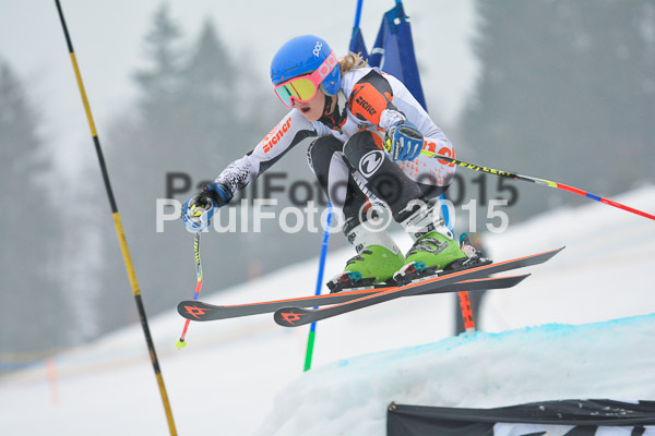 DSC U12 Finale 2015
