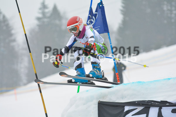 DSC U12 Finale 2015