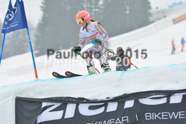 DSC U12 Finale 2015