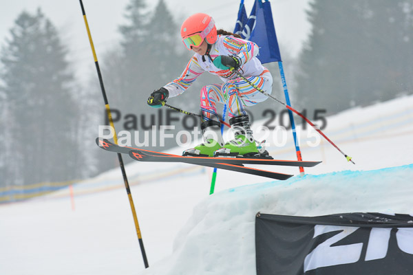 DSC U12 Finale 2015