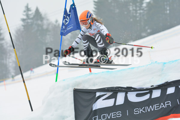 DSC U12 Finale 2015