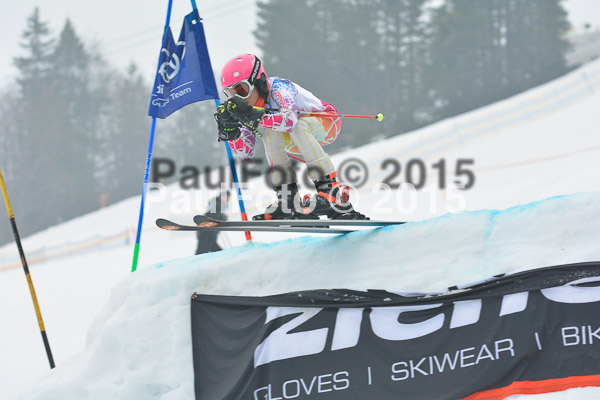 DSC U12 Finale 2015