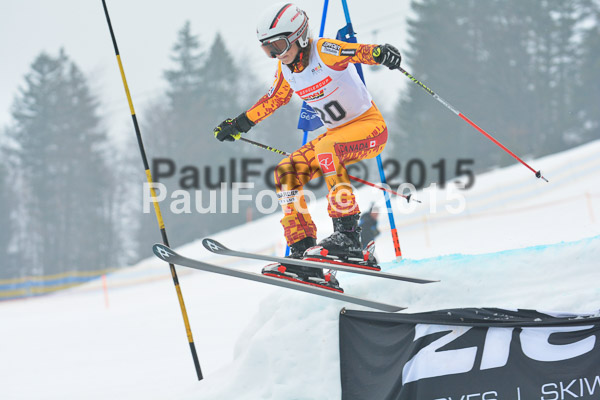 DSC U12 Finale 2015