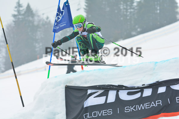 DSC U12 Finale 2015