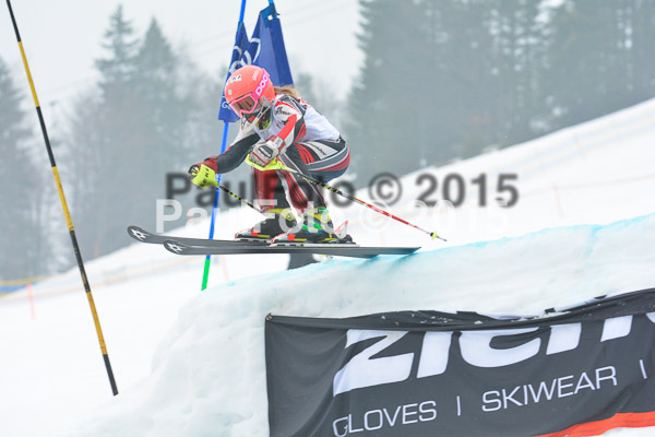 DSC U12 Finale 2015