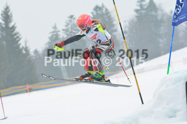 DSC U12 Finale 2015