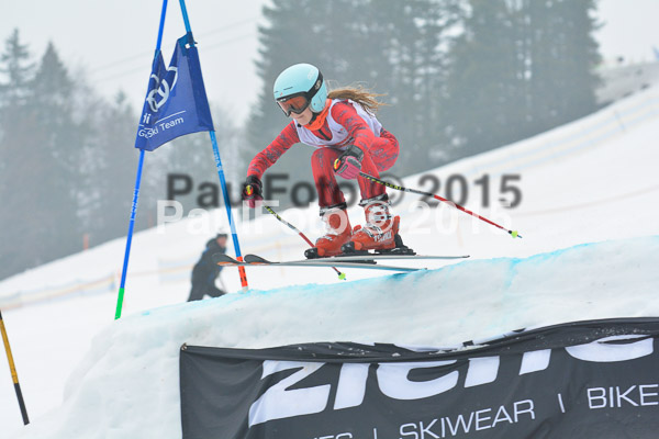 DSC U12 Finale 2015