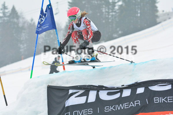DSC U12 Finale 2015