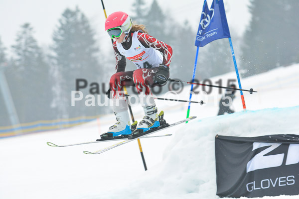 DSC U12 Finale 2015
