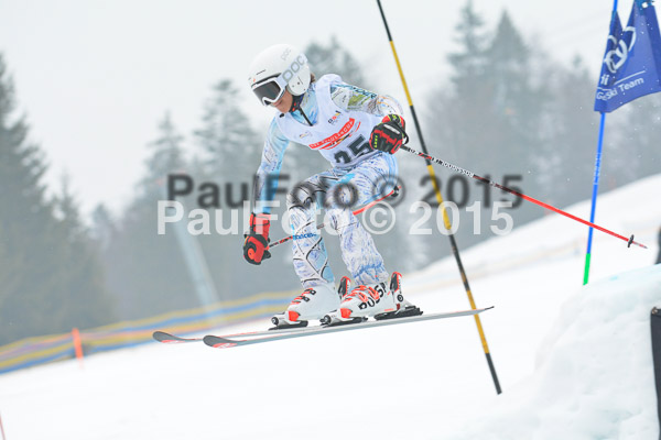 DSC U12 Finale 2015