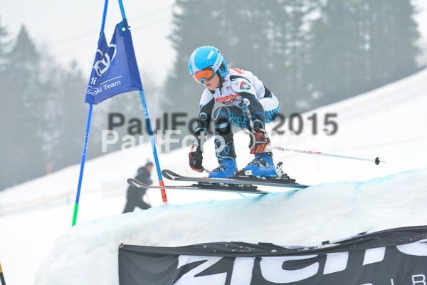 DSC U12 Finale 2015