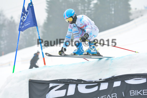 DSC U12 Finale 2015