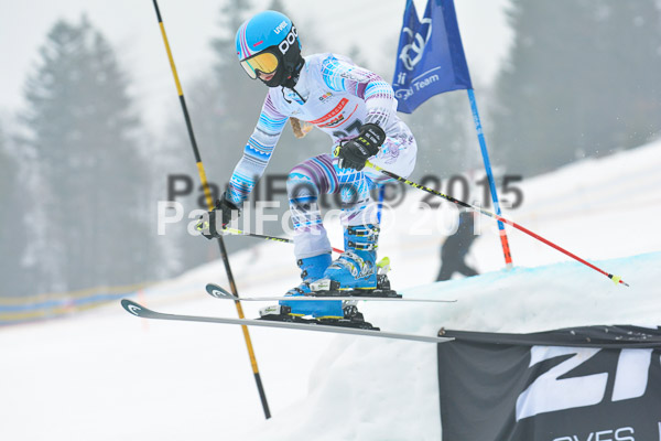 DSC U12 Finale 2015