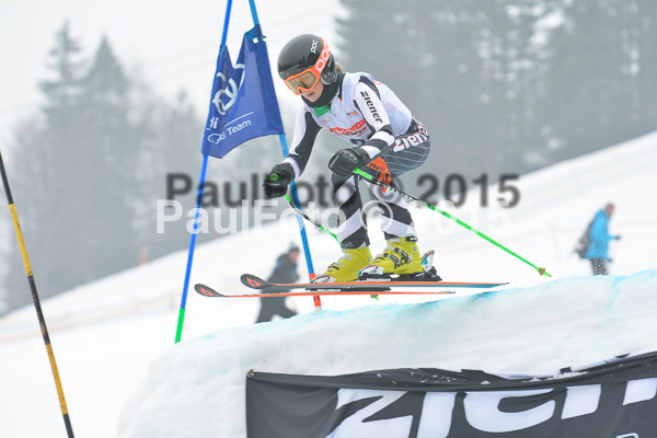 DSC U12 Finale 2015