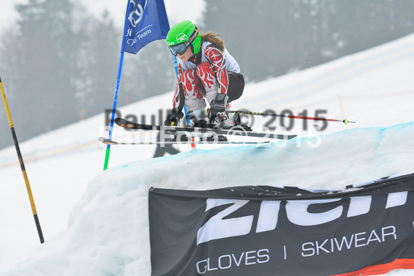 DSC U12 Finale 2015