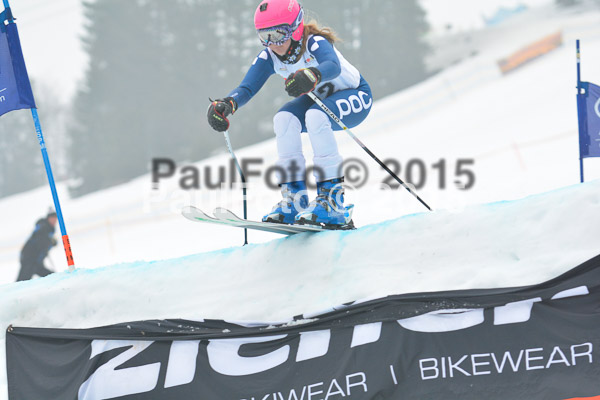 DSC U12 Finale 2015