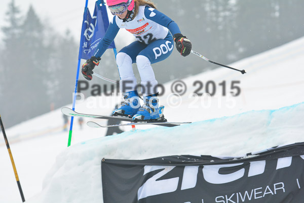 DSC U12 Finale 2015