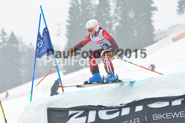 DSC U12 Finale 2015