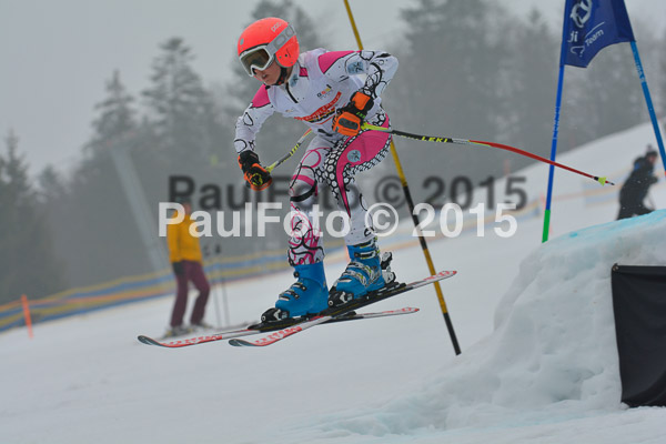 DSC U12 Finale 2015