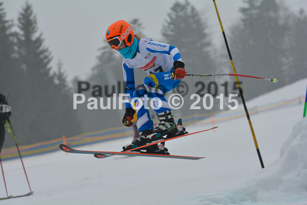 DSC U12 Finale 2015