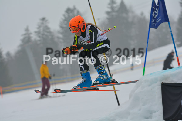 DSC U12 Finale 2015