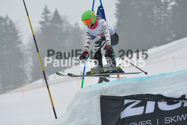 DSC U12 Finale 2015