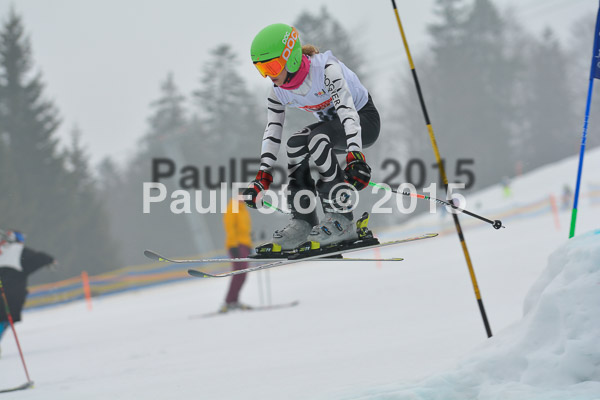 DSC U12 Finale 2015