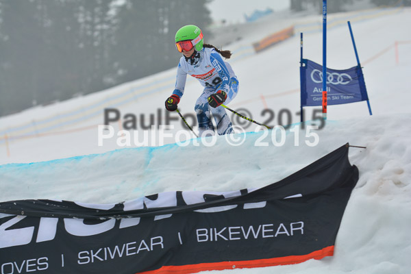 DSC U12 Finale 2015