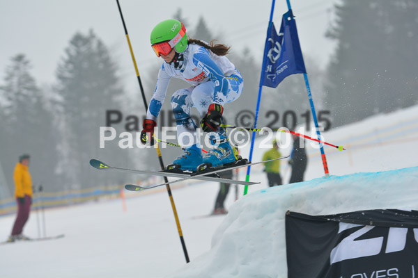DSC U12 Finale 2015