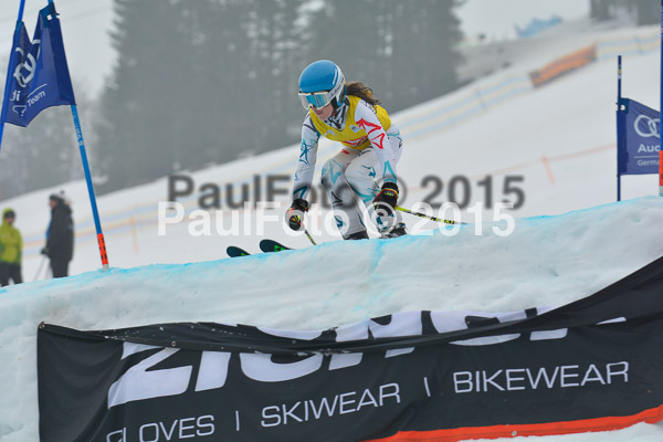 DSC U12 Finale 2015