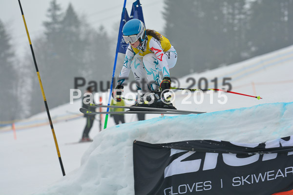 DSC U12 Finale 2015