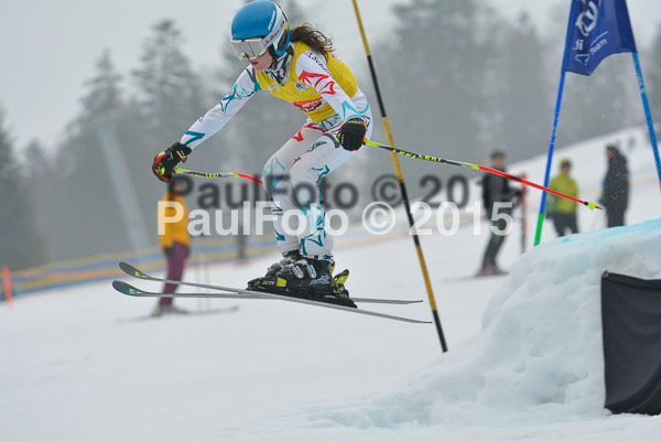 DSC U12 Finale 2015