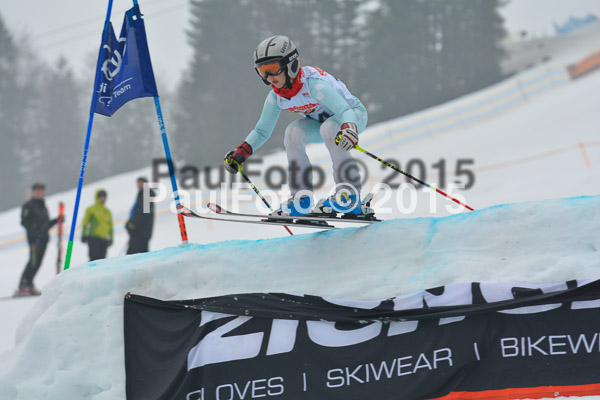 DSC U12 Finale 2015