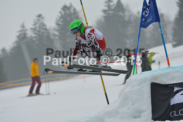 DSC U12 Finale 2015