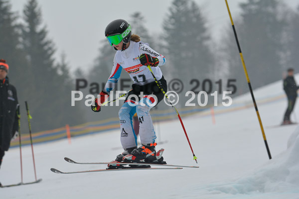 DSC U12 Finale 2015