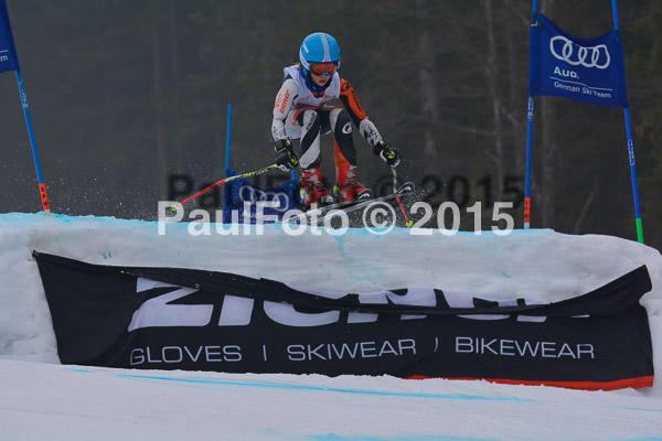 DSC U12 Finale 2015